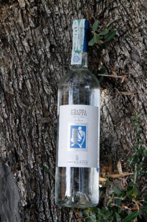 grappa