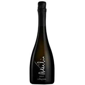 Attilio Brut