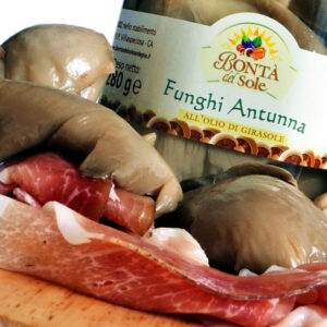 Funghi Antunna