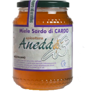 Miele sardo artigianale di cardo
