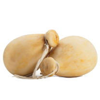 Formaggio Casizolu 420 grammi